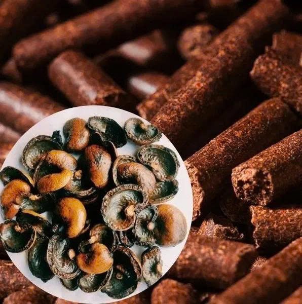 Cashew Nut Shell Pellets Industrial Biomass Application